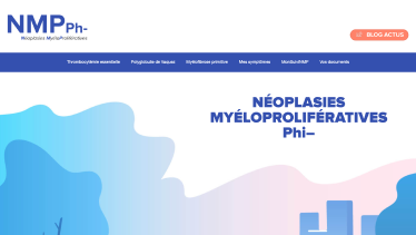 Capture du site